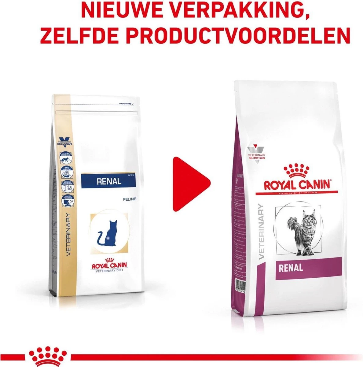 Royal Canin Renal - Kattenvoer - 4 Kg 2 Royal Canin Renal - Kattenvoer - 4 Kg - Image 2