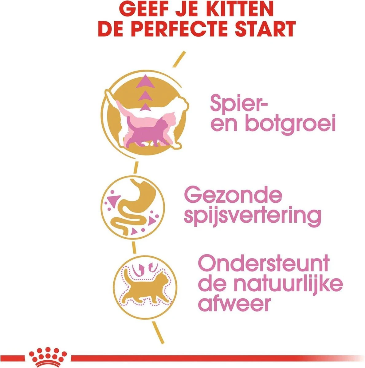 Royal Canin British Shorthair Kitten - 2 Kg 4 Royal Canin British Shorthair Kitten - 2 Kg - Image 4