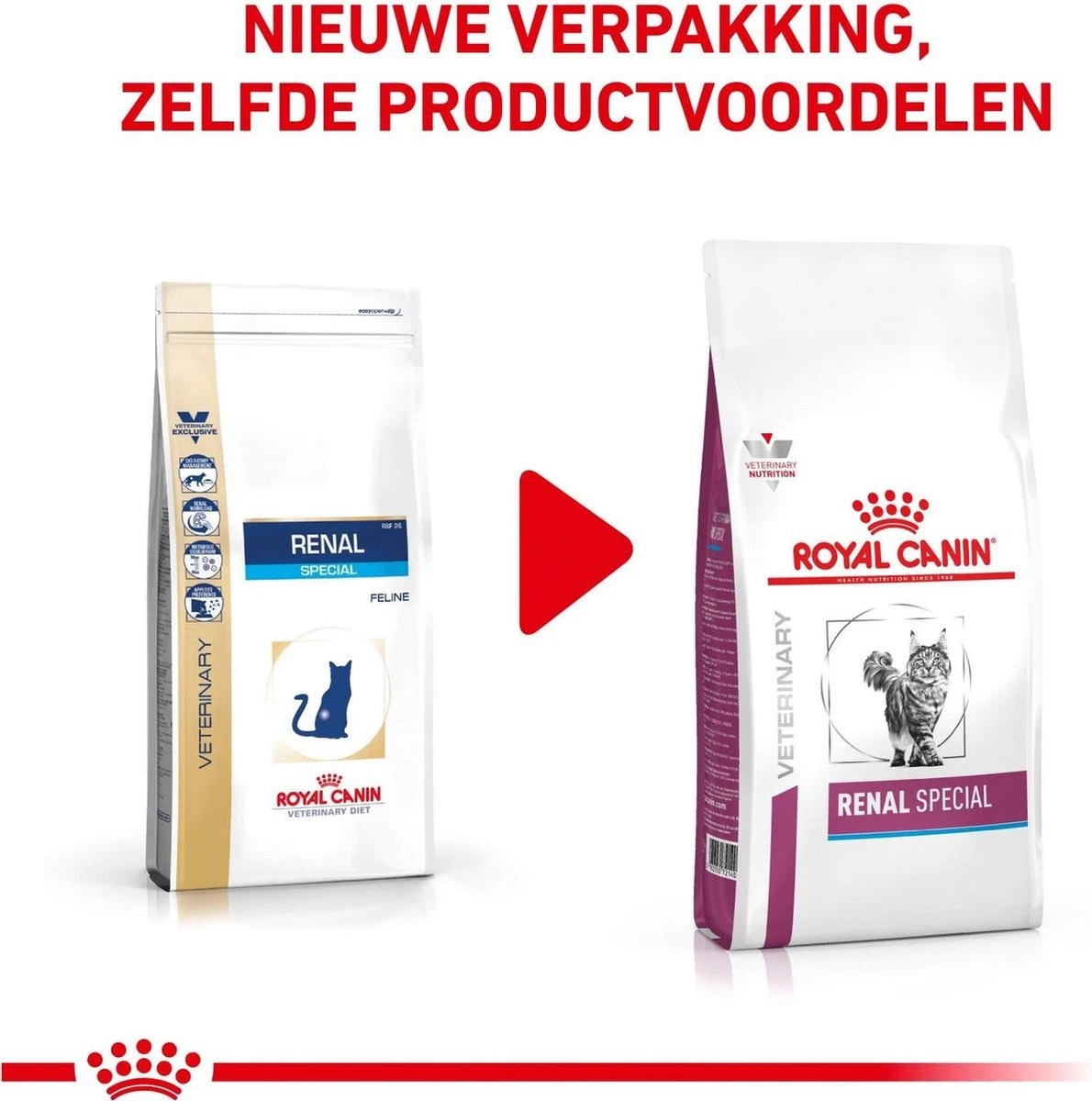 Royal Canin Renal Special - Kattenvoer - 4 Kg 2 Royal Canin Renal Special - Kattenvoer - 4 Kg - Image 2