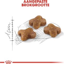 Royal Canin Kitten - Kittenvoer - 2 Kg -Merkloos Verkoop 1190x1200 6