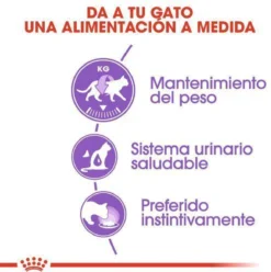 Royal Canin Sterilised In Jelly - Kattenvoer - 1020 G -Merkloos Verkoop 1197x1200 3