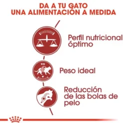 Royal Canin Fit 32 4 Kg 18 Royal Canin Fit 32 4 Kg -Merkloos Verkoop 1197x1200 5