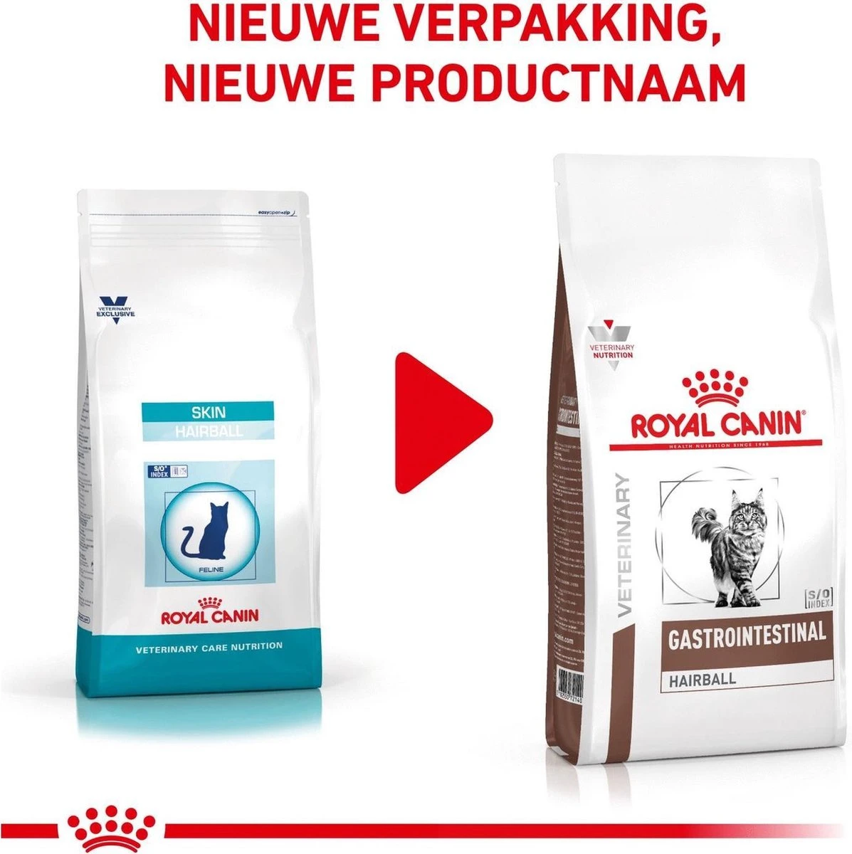 Royal Canin Gastro Intestinal Hairball - Kattenvoer Ter Ondersteuning Bij Haarballen 4 Kg 2 Royal Canin Gastro Intestinal Hairball - Kattenvoer Ter Ondersteuning Bij Haarballen 4 Kg - Image 2