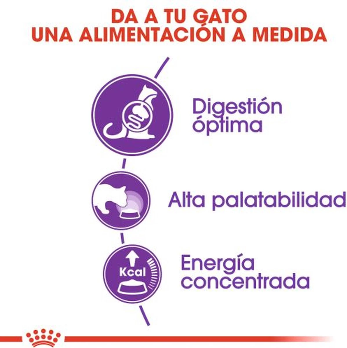 Royal Canin Sensible 33 - Kattenvoer - 2 Kg 3 Royal Canin Sensible 33 - Kattenvoer - 2 Kg - Image 3