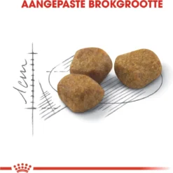 Royal Canin Indoor 7+ - Kattenvoer - 3,5 Kg 21 Royal Canin Indoor 7+ - Kattenvoer - 3,5 Kg -Merkloos Verkoop 1198x1200 2