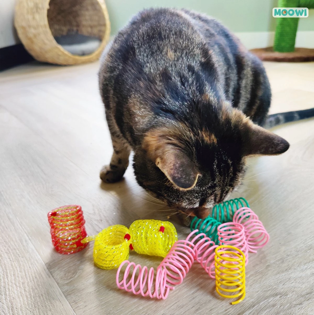 Moowi - Springveren 30 Stuks - Kat - Kattenveertjes - Kattenspeelgoed 3 Moowi - Springveren 30 Stuks - Kat - Kattenveertjes - Kattenspeelgoed - Image 3