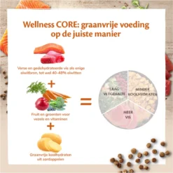 Wellness Core Grain Free Cat Ocean Zalm & Tonijn - Kattenvoer - 1.75 Kg -Merkloos Verkoop 1199x1200 7