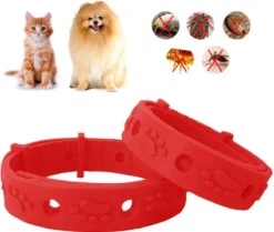 Merkloos EPIN | Vlooienband | Kat & Hond | Verstelbaar | Vlooien & Teken -Merkloos Verkoop 1200x1017 1