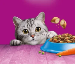 Whiskas 1+ Kattenbrokken - Tonijn - Zak 1 X 7 Kg -Merkloos Verkoop 1200x1019 10