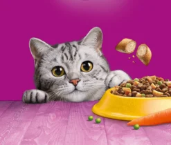 Whiskas 7+ Kattenbrokken - Kip - Doos 5 X 950 G -Merkloos Verkoop 1200x1019
