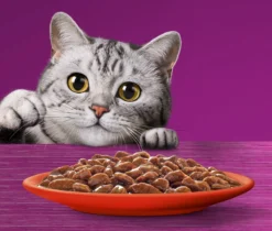 Whiskas 7+ Natvoer - Classic - Selectie In Saus - Maaltijdzakjes 48 X 85 G -Merkloos Verkoop 1200x1019 3