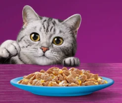 Whiskas 7+ Natvoer - Vis - Selectie In Gelei - Maaltijdzakjes 48 X 85 G -Merkloos Verkoop 1200x1019 6