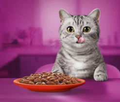 Whiskas 1+ Natvoer - Classic - Selectie In Saus - Maaltijdzakjes 80 X 85 G -Merkloos Verkoop 1200x1019 8