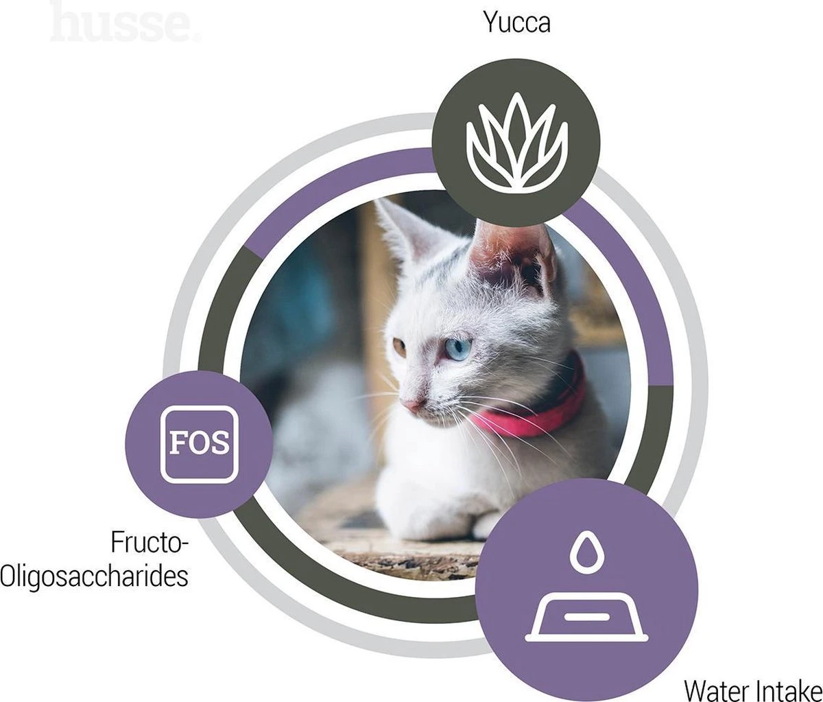 Husse Katt Urinary - Kattenvoer Blaasgruis - 2 Kg 6 Husse Katt Urinary - Kattenvoer Blaasgruis - 2 Kg - Image 6