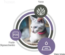 Husse Katt Urinary - Kattenvoer Blaasgruis - 7 Kg 11 Husse Katt Urinary - Kattenvoer Blaasgruis - 7 Kg -Merkloos Verkoop 1200x1023