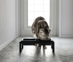 Yamazaki Eetbak - Voederbak Kat - Tweeledig - Zwart -Merkloos Verkoop 1200x1025 4