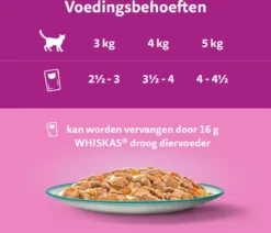 Whiskas 1+ Natvoer - Tasty Mix - Vis Van De Dag In Saus - Maaltijdzakjes 48 X 85 G 10 Whiskas 1+ Natvoer - Tasty Mix - Vis Van De Dag In Saus - Maaltijdzakjes 48 X 85 G -Merkloos Verkoop 1200x1030 9