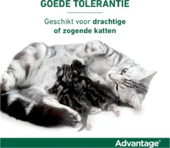 Bayer Anti Vlooienmiddel Advantage 80 > 4 Kg - 4 X 0,8 Ml -Merkloos Verkoop 1200x1042