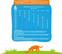 Smolke Kitten 4 Kg - Kat -Merkloos Verkoop 1200x1044