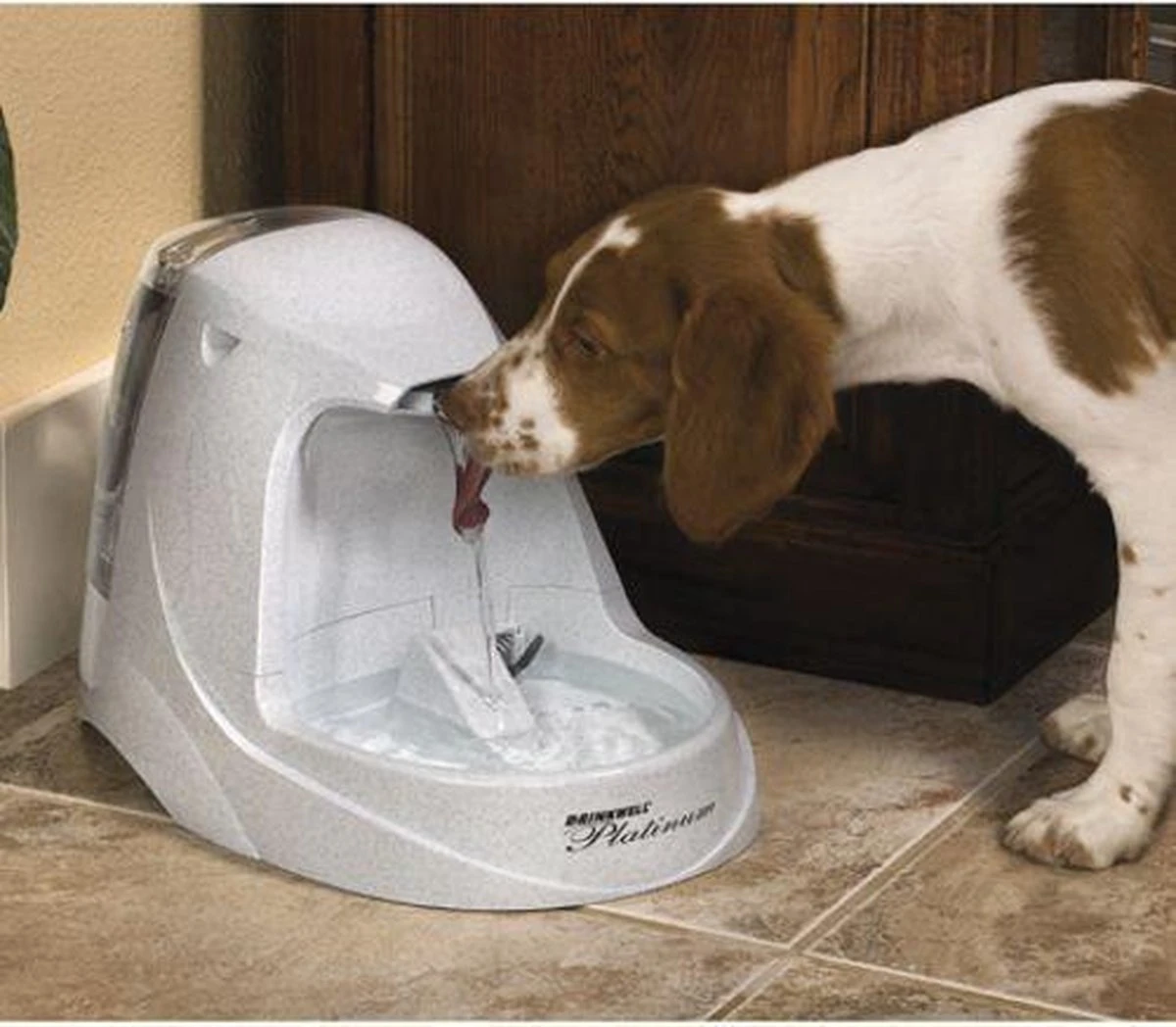 Petsafe Drinkwell Platinum - Drinkfontein - 5 L 20 Petsafe Drinkwell Platinum - Drinkfontein - 5 L - Image 20