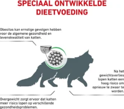 Royal Canin Satiety Weight Management - Kattenvoer - 6 Kg -Merkloos Verkoop 1200x1050 2