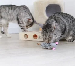 Pfotenolymp® Interactief Kattenspeelgoed / Speeldoos Met Speelballen & Speelmuis - Houten Speelgoed Voor Katten - Mollenspel / Vangspel / Jachtspel -Merkloos Verkoop 1200x1051 5