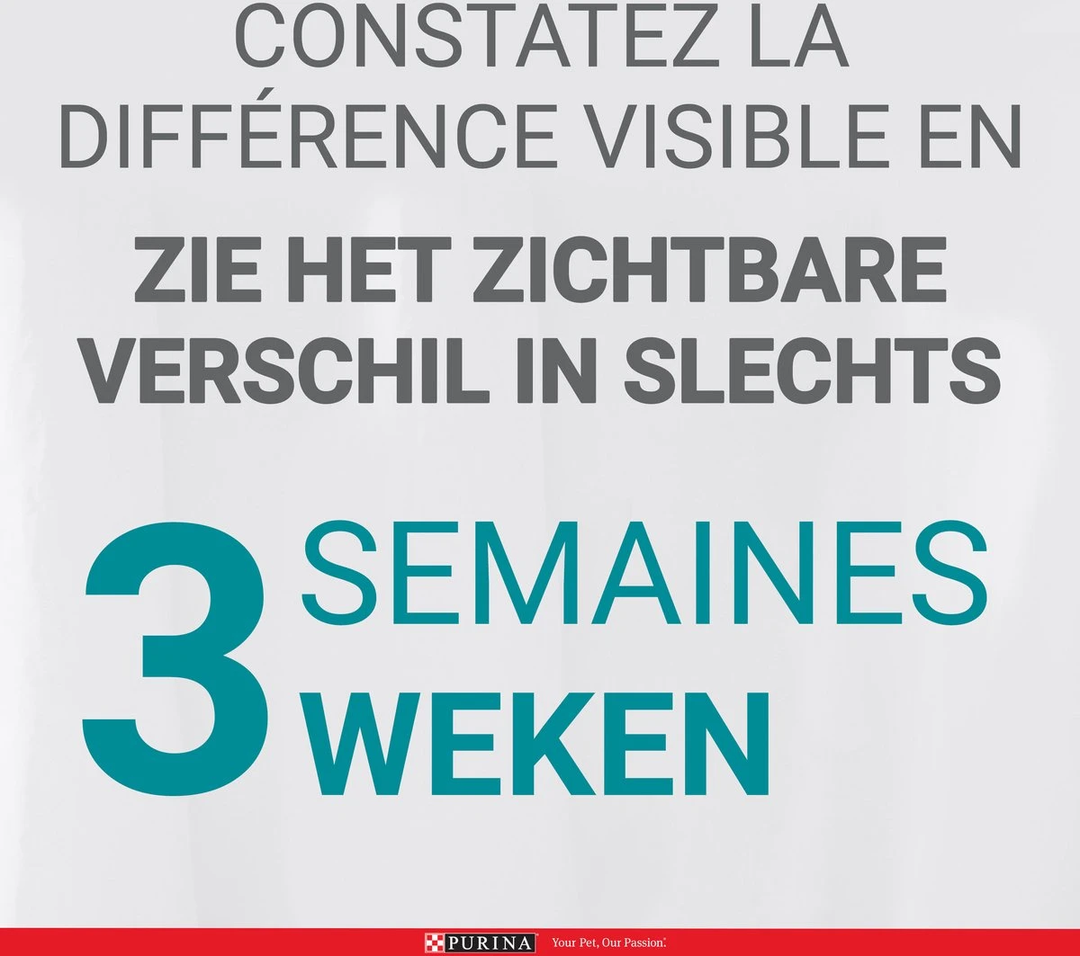 Purina ONE Junior - Kip/Granen - Kattenvoer - 800 G 6 Purina ONE Junior - Kip/Granen - Kattenvoer - 800 G - Image 6