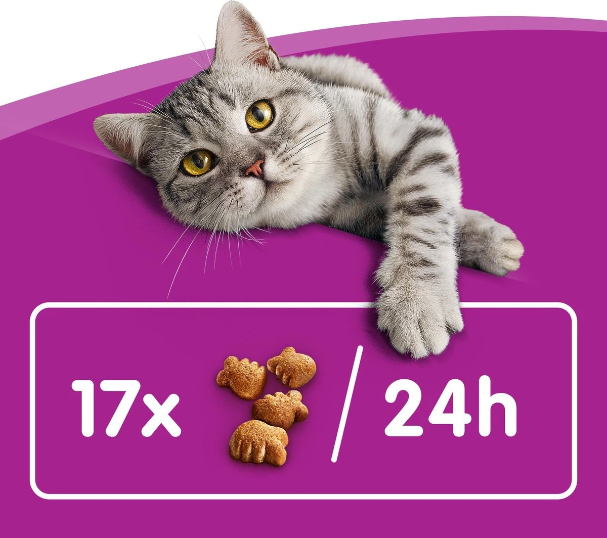 Whiskas Dentabites Kattensnoepjes - Kip - 8 X 40g 2 Whiskas Dentabites Kattensnoepjes - Kip - 8 X 40g - Image 2