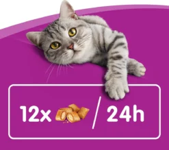 Whiskas Temptations Kattensnacks - Kip En Kaas - 8 X 60 Gr -Merkloos Verkoop 1200x1064 6