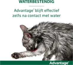 Bayer Advantage 40 Tegen Vlooien - <4kg - 4 X 0,4 Ml - Adult -Merkloos Verkoop 1200x1069 10