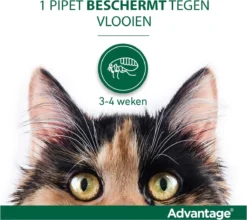 Bayer Anti Vlooienmiddel Advantage 80 > 4 Kg - 4 X 0,8 Ml -Merkloos Verkoop 1200x1070 17