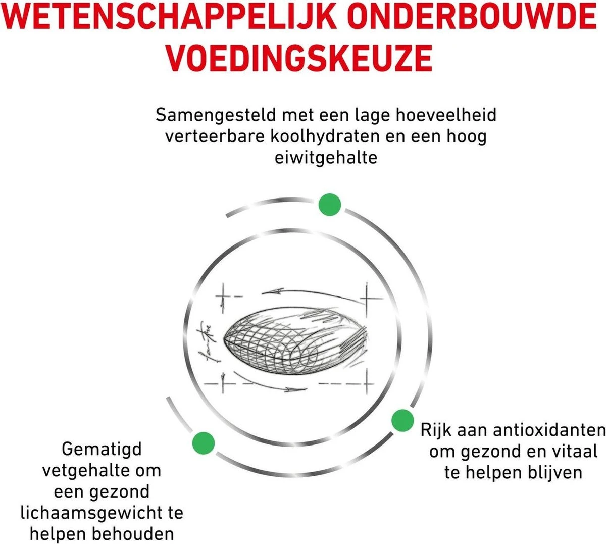 Royal Canin Diabetic - Kattenvoer - 3,5 Kg 5 Royal Canin Diabetic - Kattenvoer - 3,5 Kg - Image 5