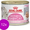 Royal Canin Wet Mother & Babycat Mousse - Kattenvoer - 195 Gr