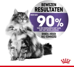 Royal Canin Appetite Control Care - Kattenvoer - 2 Kg 21 Royal Canin Appetite Control Care - Kattenvoer - 2 Kg -Merkloos Verkoop 1200x1082