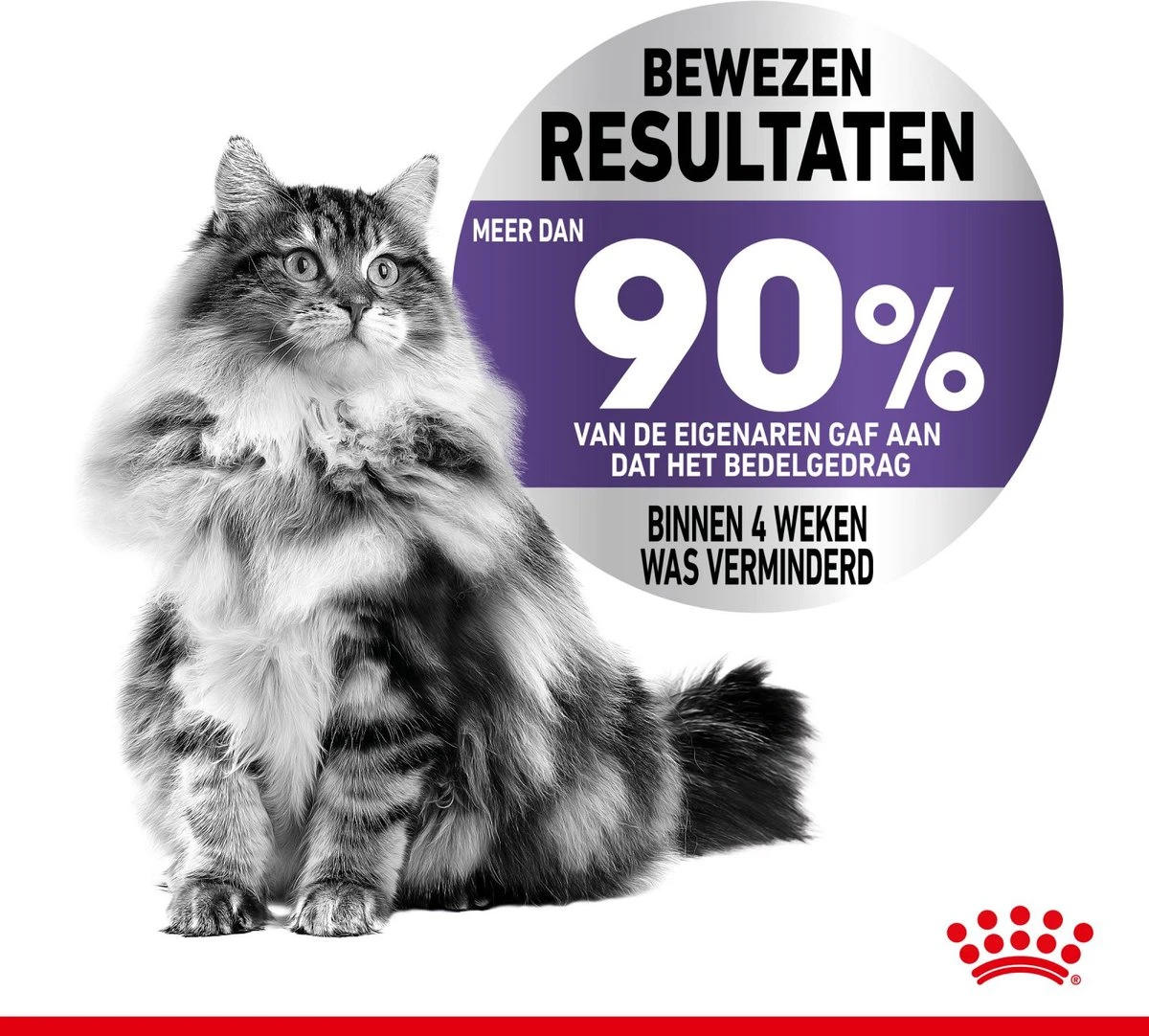 Royal Canin Appetite Control Care - Kattenvoer - 2 Kg 6 Royal Canin Appetite Control Care - Kattenvoer - 2 Kg - Image 6