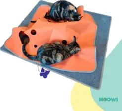 Moowi - Katten Speel Kleed – Kattentunnel – Hide And Seek Spel – Deken Kat – Kattenspeelgoed – Speelmat Katten Grijs – Incl. 2 Sisal Ballen En Verenspeeltje 8 Moowi - Katten Speel Kleed – Kattentunnel – Hide And Seek Spel – Deken Kat – Kattenspeelgoed – Speelmat Katten Grijs – Incl. 2 Sisal Ballen En Verenspeeltje -Merkloos Verkoop 1200x1089 2