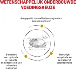 Royal Canin Urinary S/O Moderate Calorie - Kattenvoer - 9 Kg -Merkloos Verkoop 1200x1089