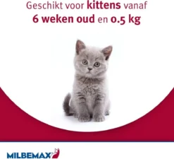 Elanco Milbemax Kitten & Kat - Anti Wormenmiddel - 2 Tab 0.5 Tot 2 Kg -Merkloos Verkoop 1200x1095 5