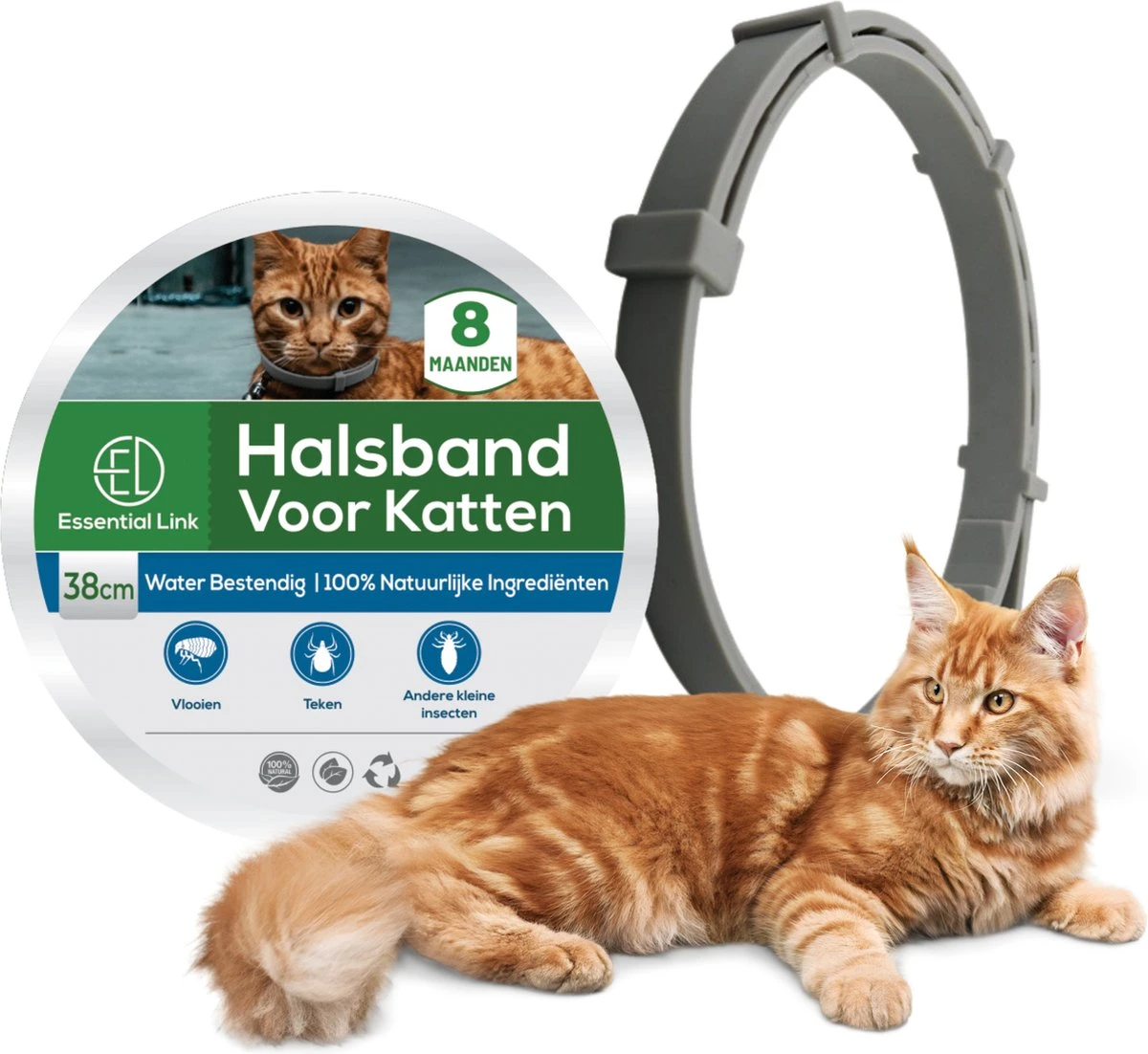 Essential Link Teken- En Vlooienband - Vlooienband Kat – Anti Vlooien – Vlooienmiddel - Tekenband - Diervriendelijk 5 Essential Link Teken- En Vlooienband - Vlooienband Kat – Anti Vlooien – Vlooienmiddel - Tekenband - Diervriendelijk - Image 5