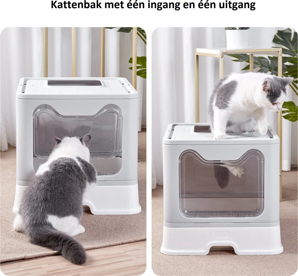 LooMar Kattenbak Groot - Kattenbak XXL - Kattenbak Grote Katten - Opvouwbaar - Grijs 5 LooMar Kattenbak Groot - Kattenbak XXL - Kattenbak Grote Katten - Opvouwbaar - Grijs - Image 5