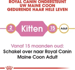 Royal Canin Maine Coon Kitten - Kattenvoer - 4 Kg -Merkloos Verkoop 1200x1114 1