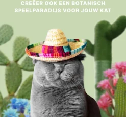 Krabpaal Voor Katten - Cactus - Met Kattenspeeltje - H 65 Cm -Merkloos Verkoop 1200x1114 9