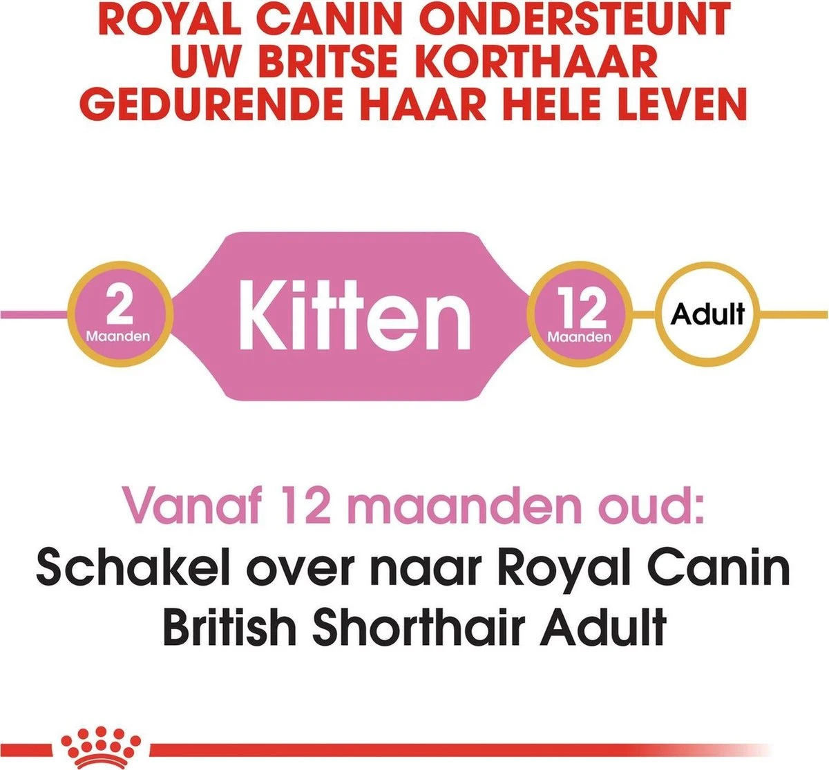 Royal Canin British Shorthair Kitten - 2 Kg 9 Royal Canin British Shorthair Kitten - 2 Kg - Image 9