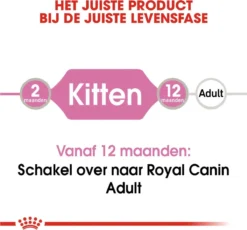 Royal Canin Kitten In Jelly - Kattenvoer - 1020 G 31 Royal Canin Kitten In Jelly - Kattenvoer - 1020 G -Merkloos Verkoop 1200x1117 4