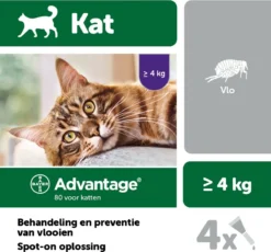 Bayer Anti Vlooienmiddel Advantage 80 > 4 Kg - 4 X 0,8 Ml -Merkloos Verkoop 1200x1117 9