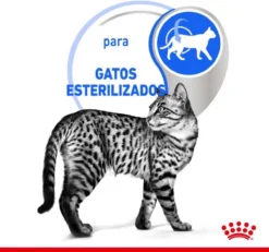Royal Canin Feline Sterilised Indoor In Gravy -Merkloos Verkoop 1200x1120 1