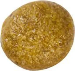 Royal Canin Kat Renal2 Kg -Merkloos Verkoop 1200x1122 2