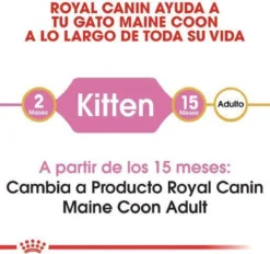 Royal Canin Maine Coon Kitten - Kattenvoer - 4 Kg -Merkloos Verkoop 1200x1127 2