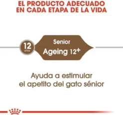 Royal Canin Ageing 12+ - Kattenvoer - 4 Kg 23 Royal Canin Ageing 12+ - Kattenvoer - 4 Kg -Merkloos Verkoop 1200x1127