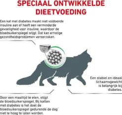 Royal Canin Diabetic - Kattenvoer - 3,5 Kg 16 Royal Canin Diabetic - Kattenvoer - 3,5 Kg -Merkloos Verkoop 1200x1127 4